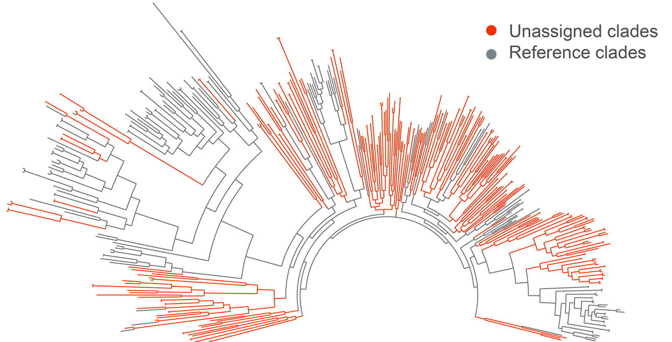 Discovery of T7-like RNA polymerases | NEB