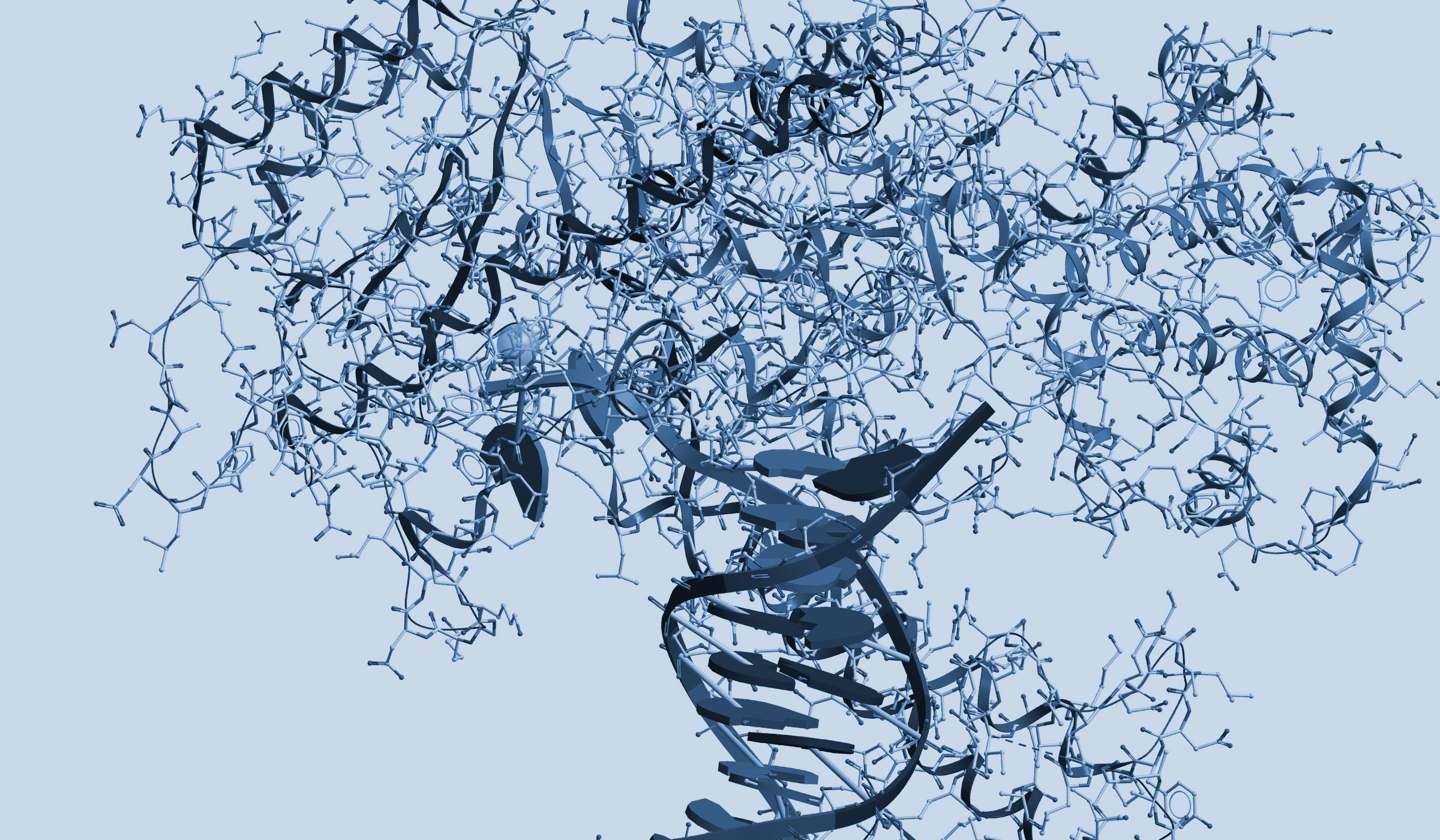 Ong Lab | NEB