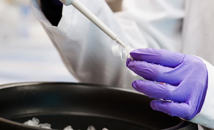 Research | NEB