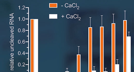 Ecoli_RNaseI_BehindPaper_260x140