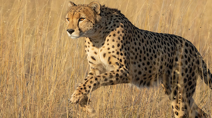 激情五十载科学创未来