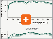 NEBNext® Ultra™ II RNA Library Prep (Non-directional) Maximizing ...
