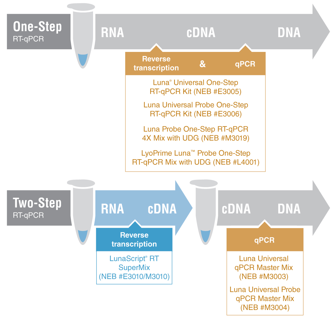 zuhnrad inversion (るな) zuhnrad inversion (るな) kawasaki_zx25r_-1024x876.jpg?v