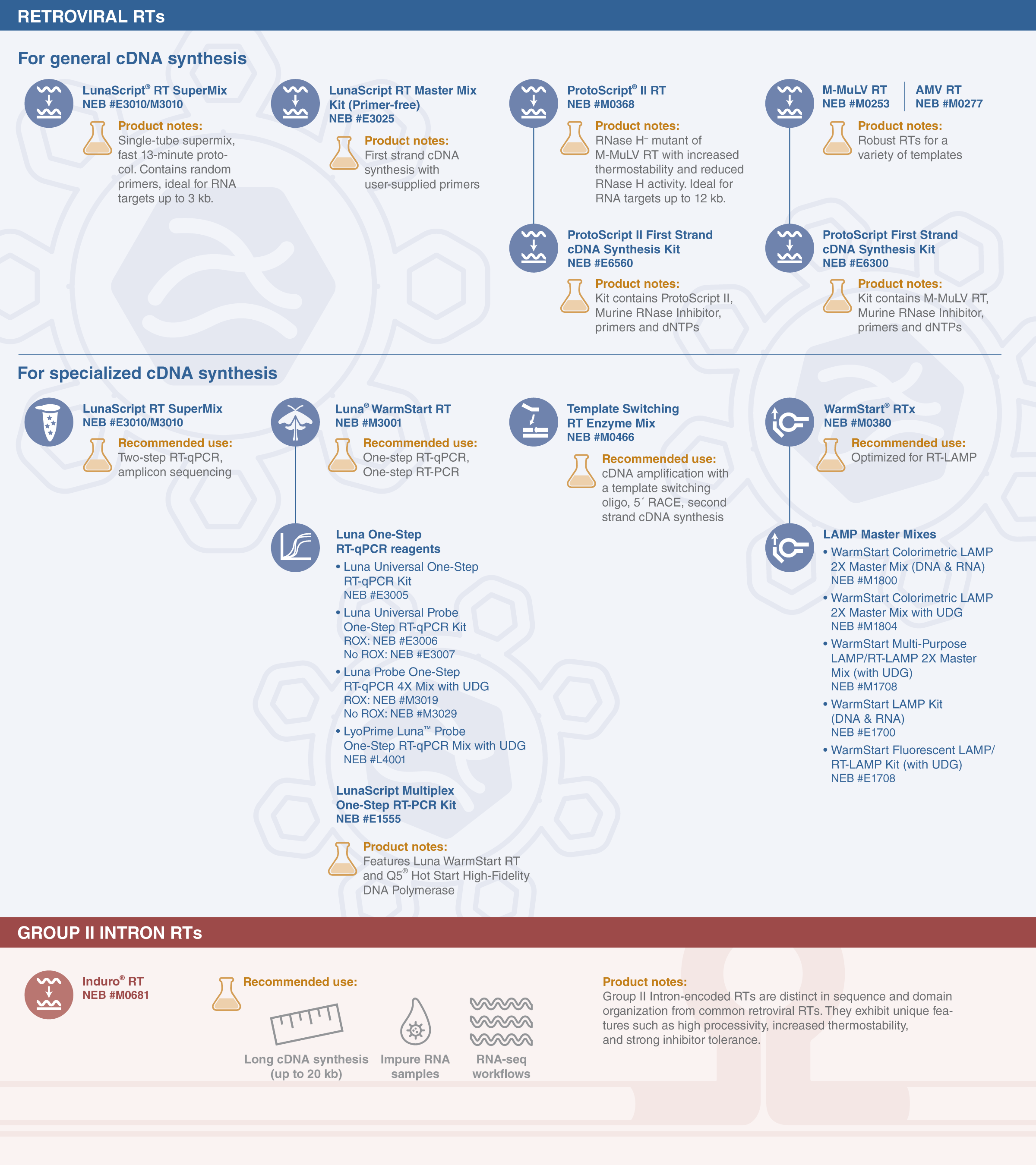 Reverse transcriptases (RTs) from New England Biolabs® | NEB