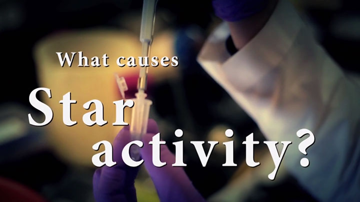 What is Star Activity and how can it be avoided? | NEB